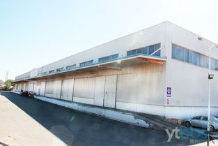 煙臺倉儲服務 經驗豐富物流專家，助力高效安全貨物存儲