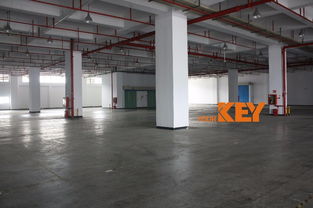 深圳鹽田保稅區(qū) 專業(yè)倉(cāng)儲(chǔ)物流一站式解決方案