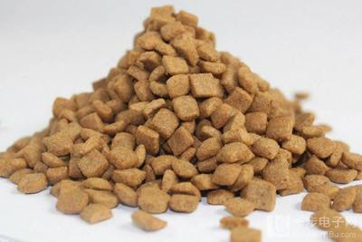 寵物食品烘干機(jī)的全面指南 從選購到用途解析